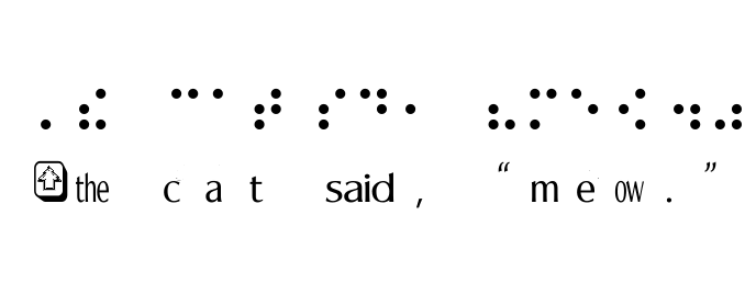 Simulated braille on upper line with print equivalent to braille on lower line as described in text.